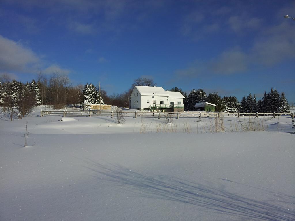 Gite Chez Gilles Levesque Saints-Anges Bagian luar foto